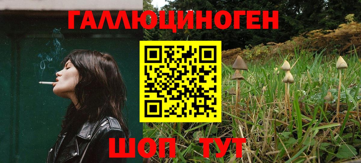Псилоцибиновые грибы Psilocybe Медногорск