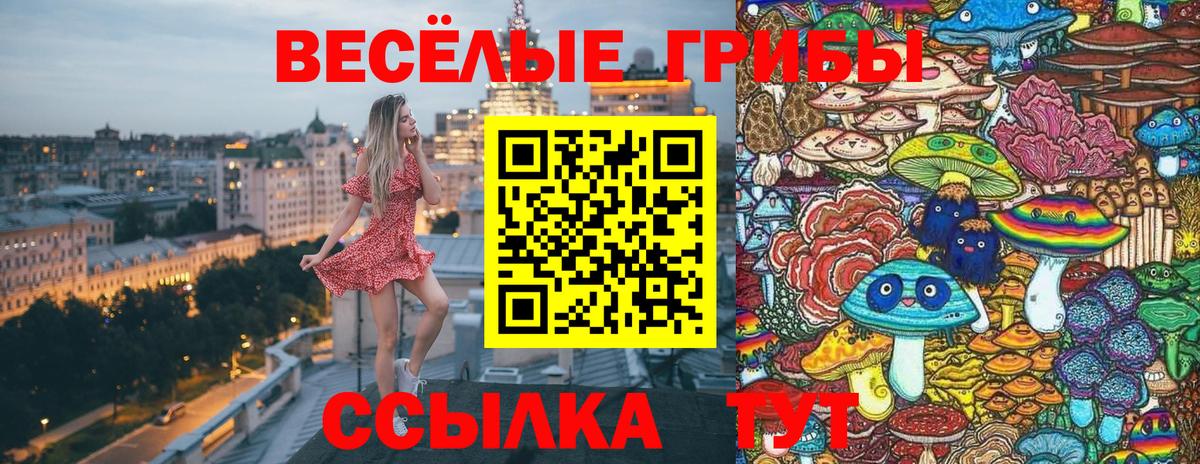 Псилоцибиновые грибы мухоморы  Вход с VPN  Медногорск 